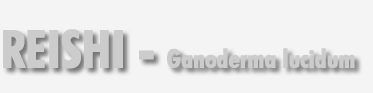 Reishi
